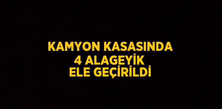 KAMYON KASASINDA 4 ALAGEYİK ELE GEÇİRİLDİ