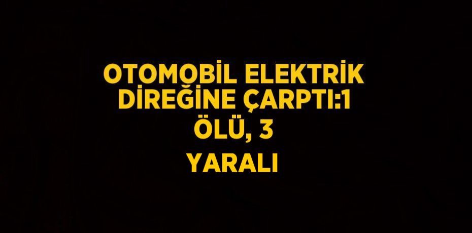 OTOMOBİL ELEKTRİK DİREĞİNE ÇARPTI:1 ÖLÜ, 3 YARALI