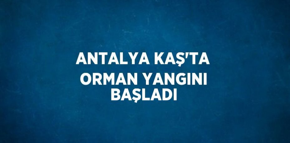 ANTALYA KAŞ’TA ORMAN YANGINI BAŞLADI