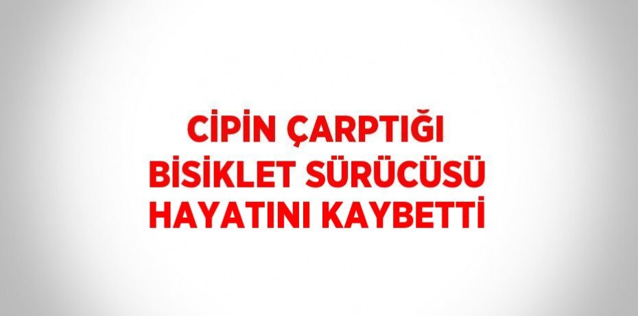 CİPİN ÇARPTIĞI BİSİKLET SÜRÜCÜSÜ HAYATINI KAYBETTİ
