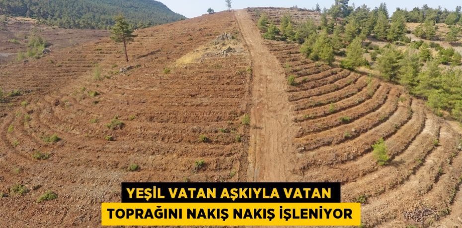 Yeşil Vatan Aşkıyla Vatan Toprağını Nakış Nakış İşleniyor
