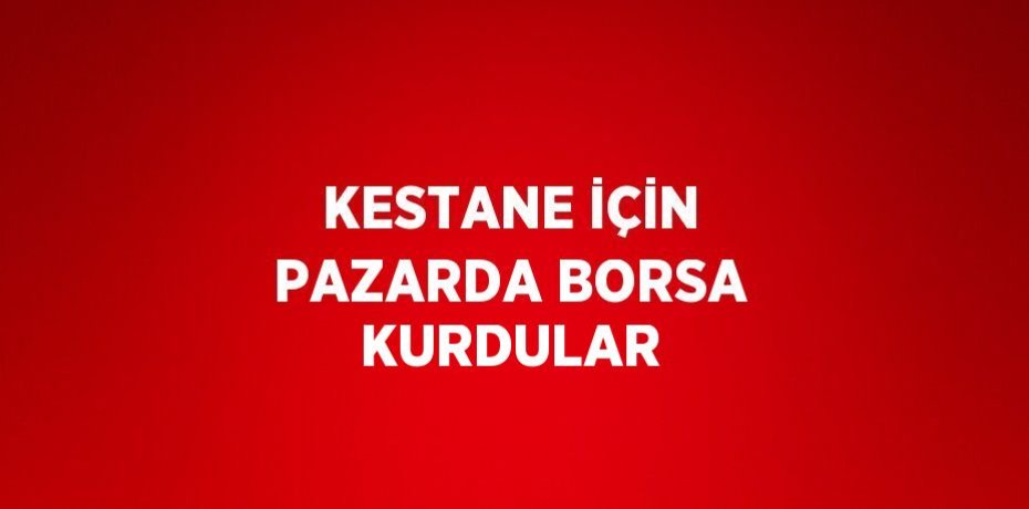 KESTANE İÇİN PAZARDA BORSA KURDULAR