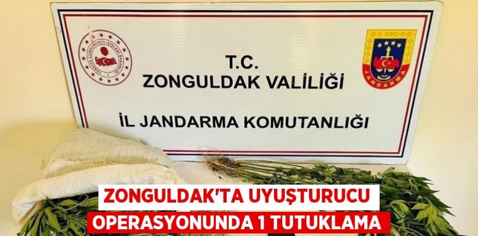 ZONGULDAK’TA UYUŞTURUCU OPERASYONUNDA 1 TUTUKLAMA