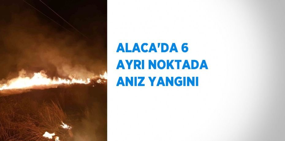ALACA’DA 6 AYRI NOKTADA ANIZ YANGINI
