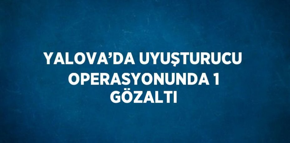 YALOVA’DA UYUŞTURUCU OPERASYONUNDA 1 GÖZALTI