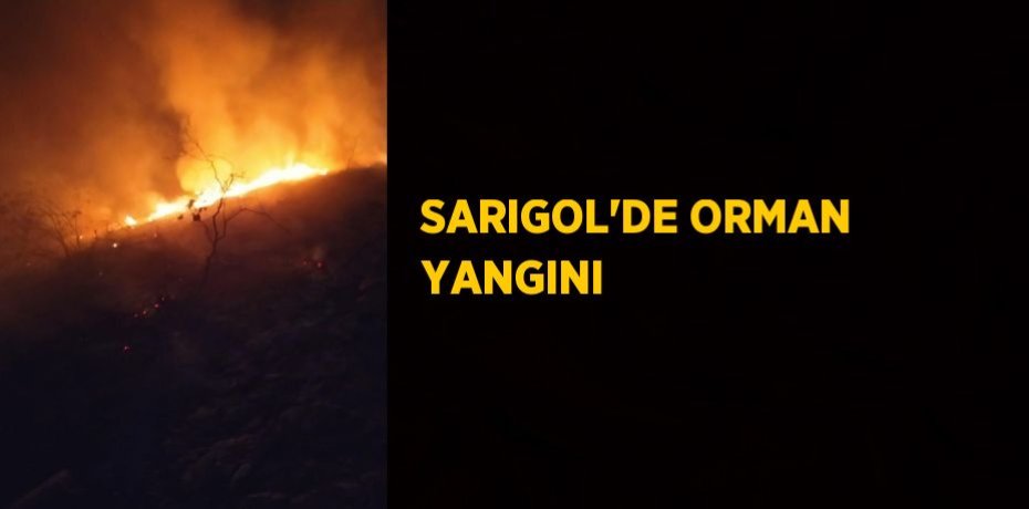 SARIGOL’DE ORMAN YANGINI