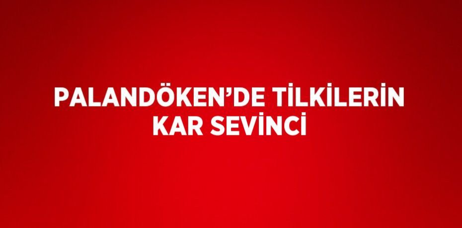 PALANDÖKEN’DE TİLKİLERİN KAR SEVİNCİ