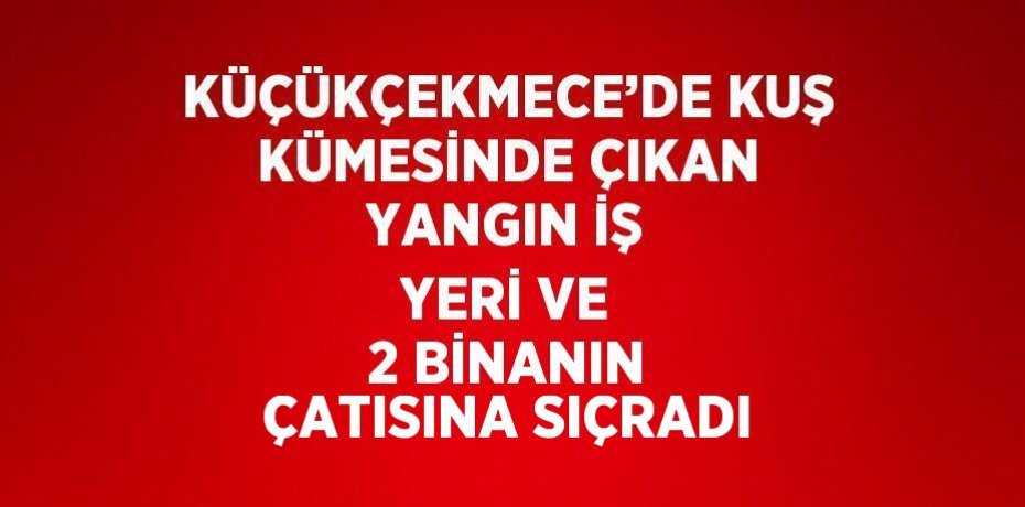 KÜÇÜKÇEKMECE’DE KUŞ KÜMESİNDE ÇIKAN YANGIN İŞ YERİ VE 2 BİNANIN ÇATISINA SIÇRADI