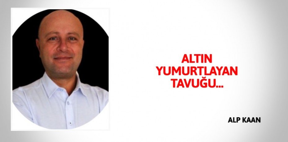 ALTIN YUMURTLAYAN TAVUĞU…