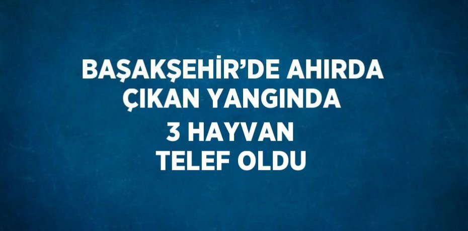 BAŞAKŞEHİR’DE AHIRDA ÇIKAN YANGINDA 3 HAYVAN TELEF OLDU