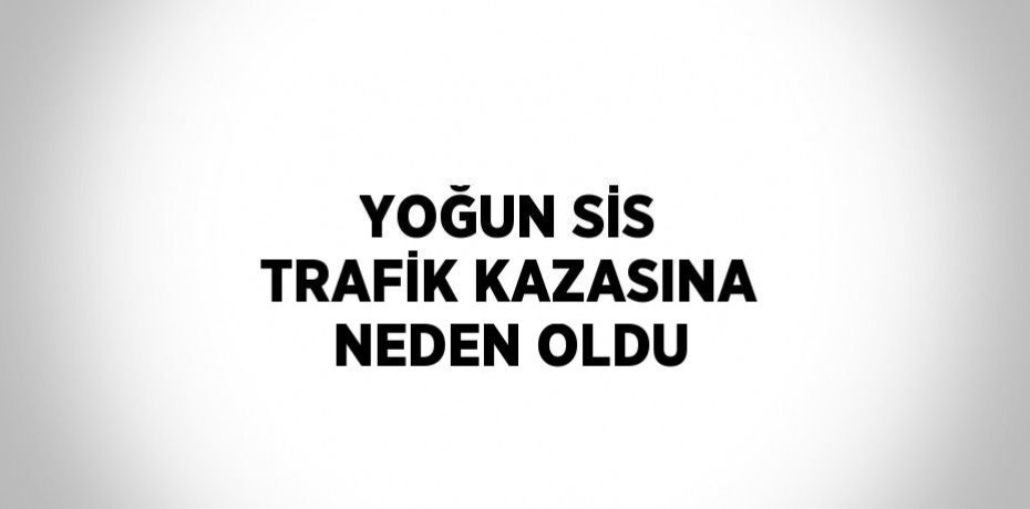 YOĞUN SİS TRAFİK KAZASINA NEDEN OLDU