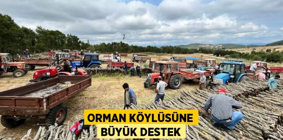 Orman Köylüsüne Büyük Destek