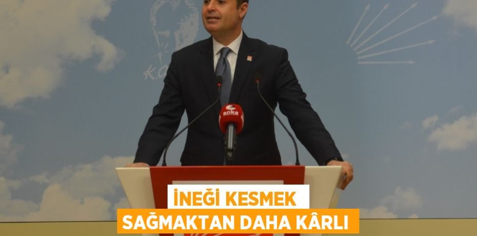 İNEĞİ KESMEK  SAĞMAKTAN DAHA KÂRLI