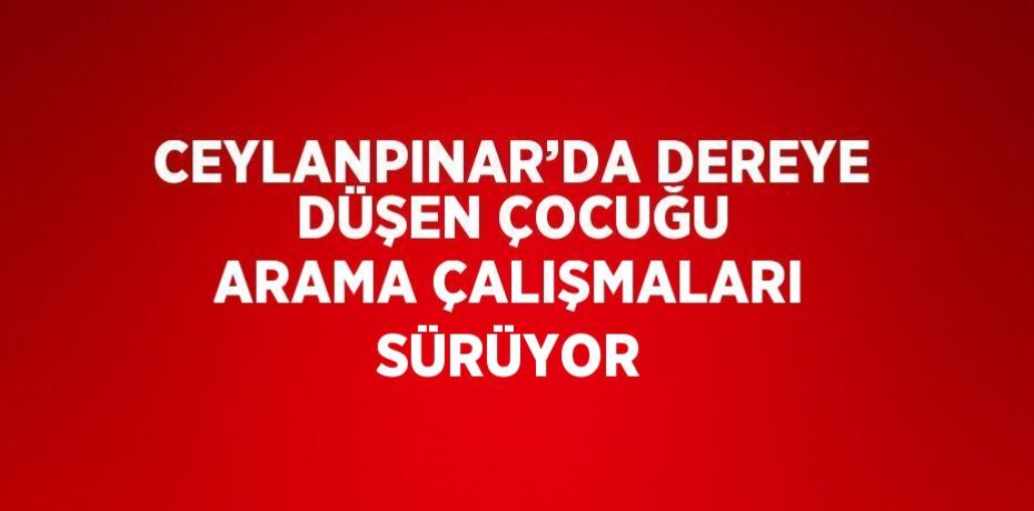 CEYLANPINAR’DA DEREYE DÜŞEN ÇOCUĞU ARAMA ÇALIŞMALARI SÜRÜYOR