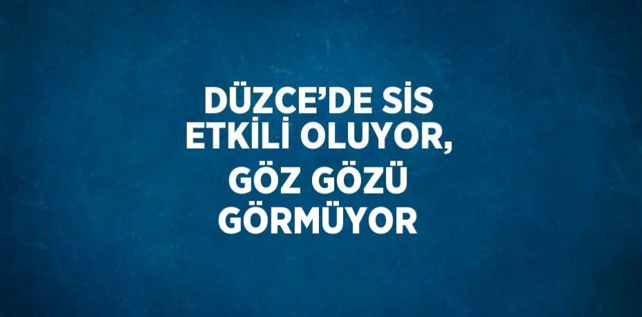 DÜZCE’DE SİS ETKİLİ OLUYOR, GÖZ GÖZÜ GÖRMÜYOR