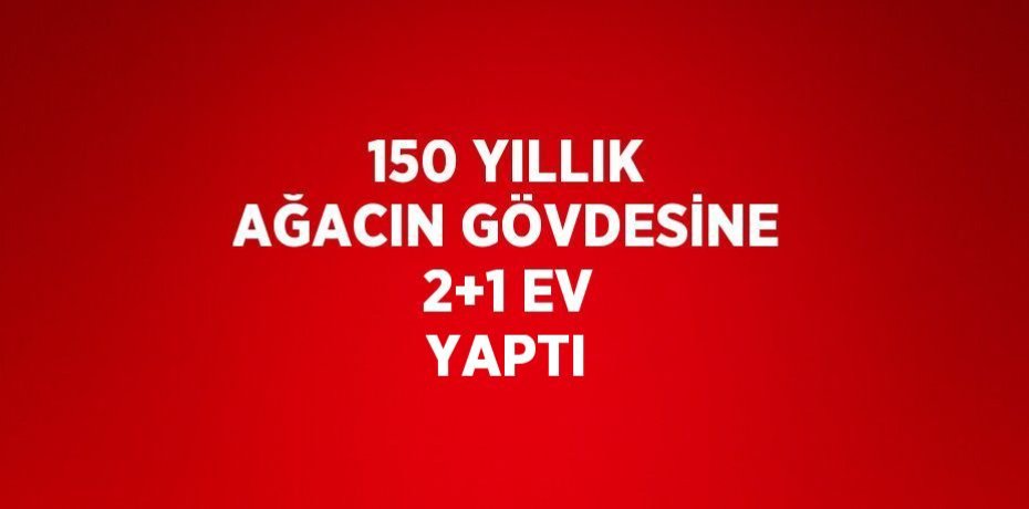 150 YILLIK AĞACIN GÖVDESİNE 2+1 EV YAPTI