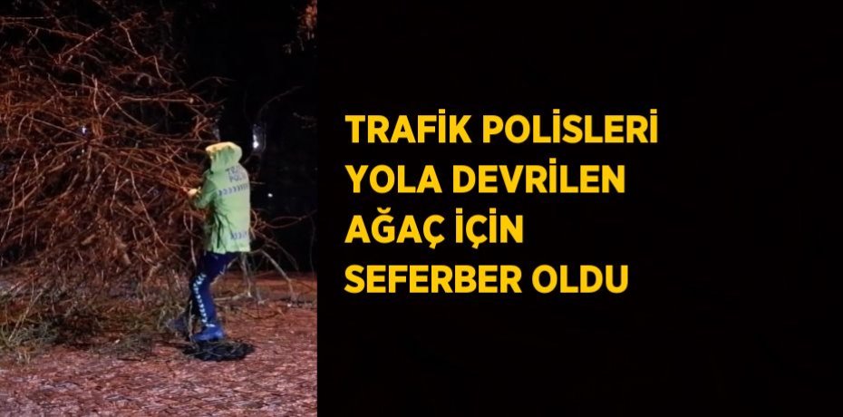 TRAFİK POLİSLERİ YOLA DEVRİLEN AĞAÇ İÇİN SEFERBER OLDU