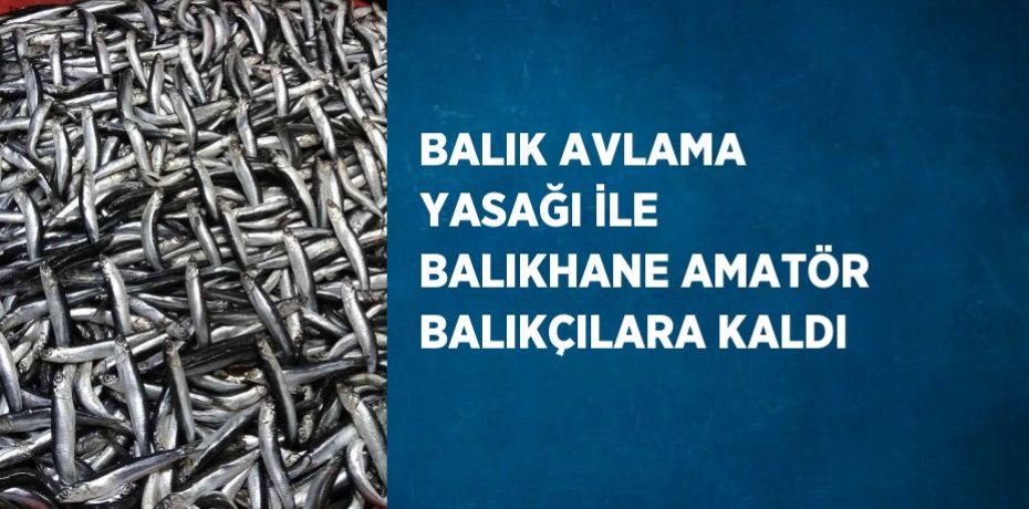BALIK AVLAMA YASAĞI İLE BALIKHANE AMATÖR BALIKÇILARA KALDI