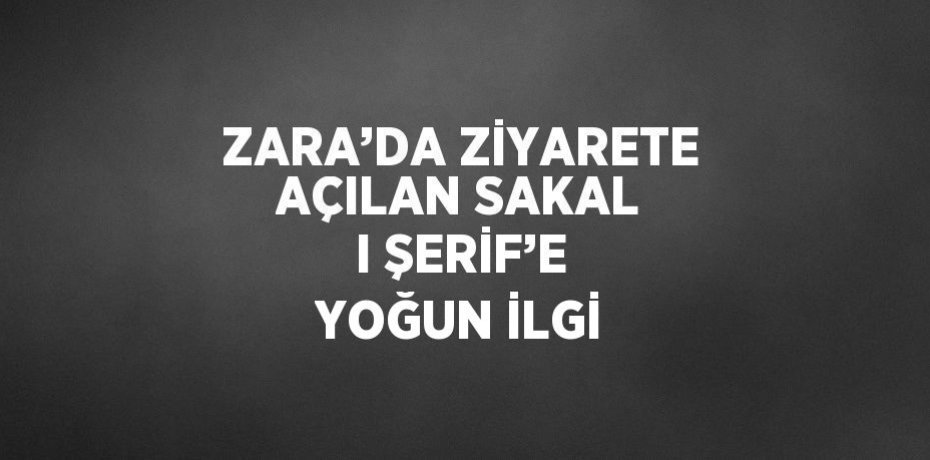 ZARA’DA ZİYARETE AÇILAN SAKAL I ŞERİF’E YOĞUN İLGİ