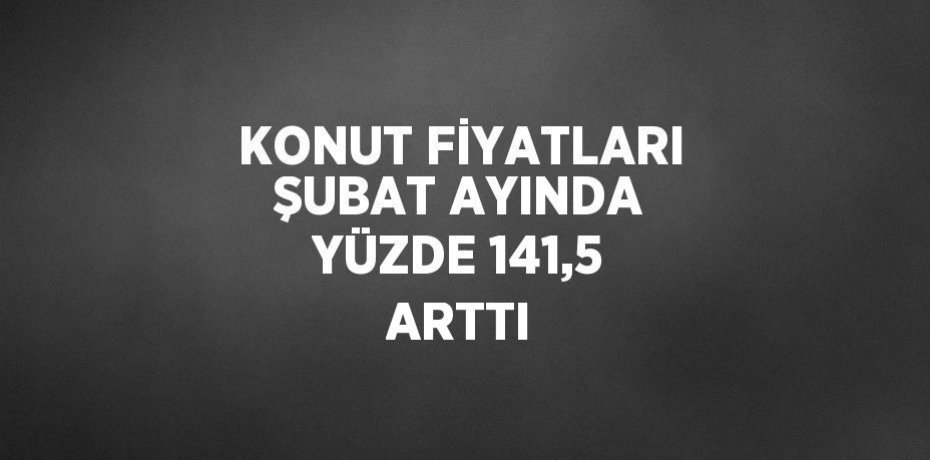 KONUT FİYATLARI ŞUBAT AYINDA YÜZDE 141,5 ARTTI