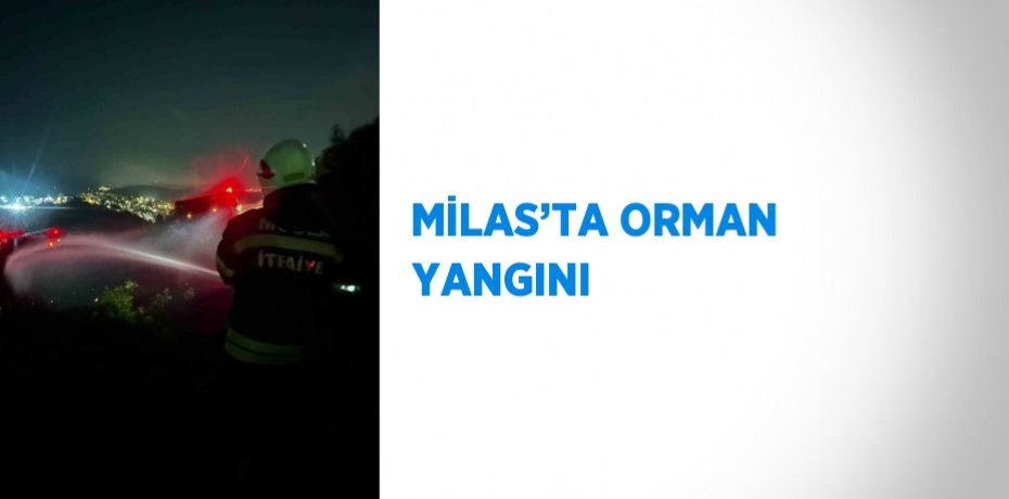 MİLAS’TA ORMAN YANGINI