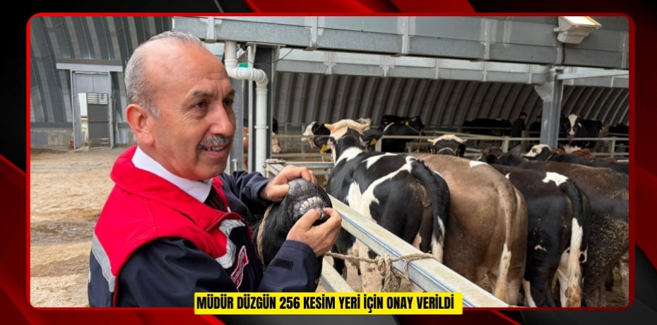 Müdür Düzgün: "256 kesim yeri için onay verildi"  