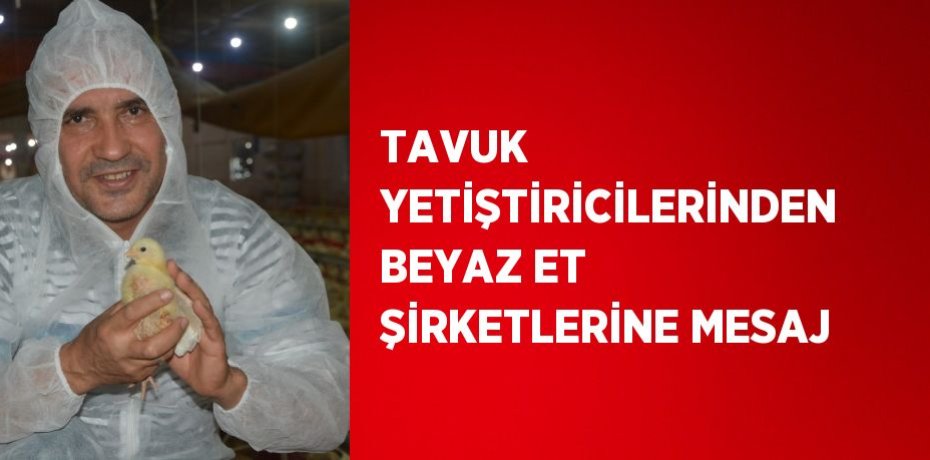 TAVUK YETİŞTİRİCİLERİNDEN BEYAZ ET ŞİRKETLERİNE MESAJ