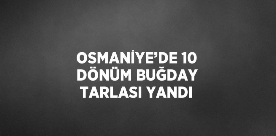 OSMANİYE’DE 10 DÖNÜM BUĞDAY TARLASI YANDI