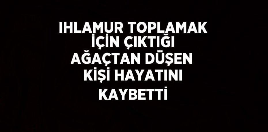 IHLAMUR TOPLAMAK İÇİN ÇIKTIĞI AĞAÇTAN DÜŞEN KİŞİ HAYATINI KAYBETTİ