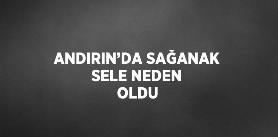 ANDIRIN’DA SAĞANAK SELE NEDEN OLDU