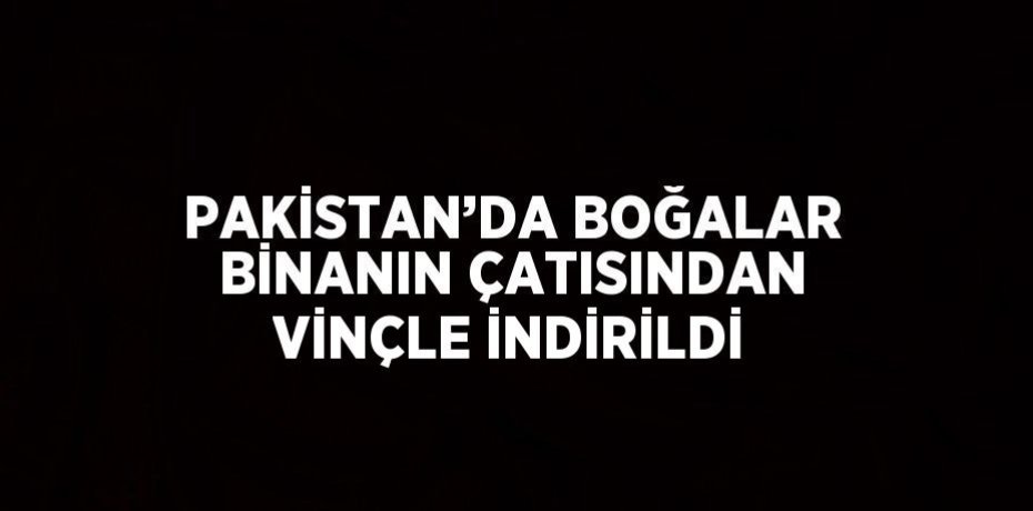 PAKİSTAN’DA BOĞALAR BİNANIN ÇATISINDAN VİNÇLE İNDİRİLDİ