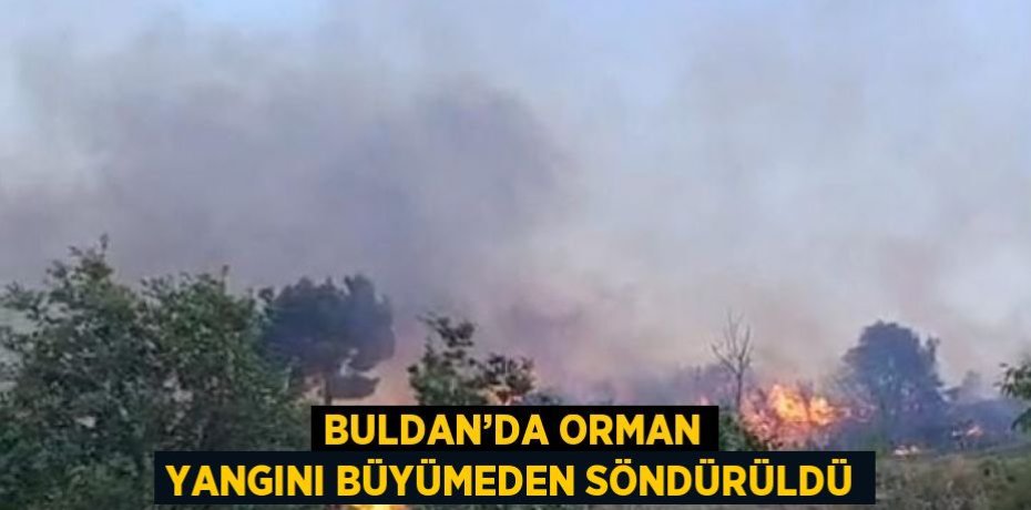 BULDAN’DA ORMAN YANGINI BÜYÜMEDEN SÖNDÜRÜLDÜ