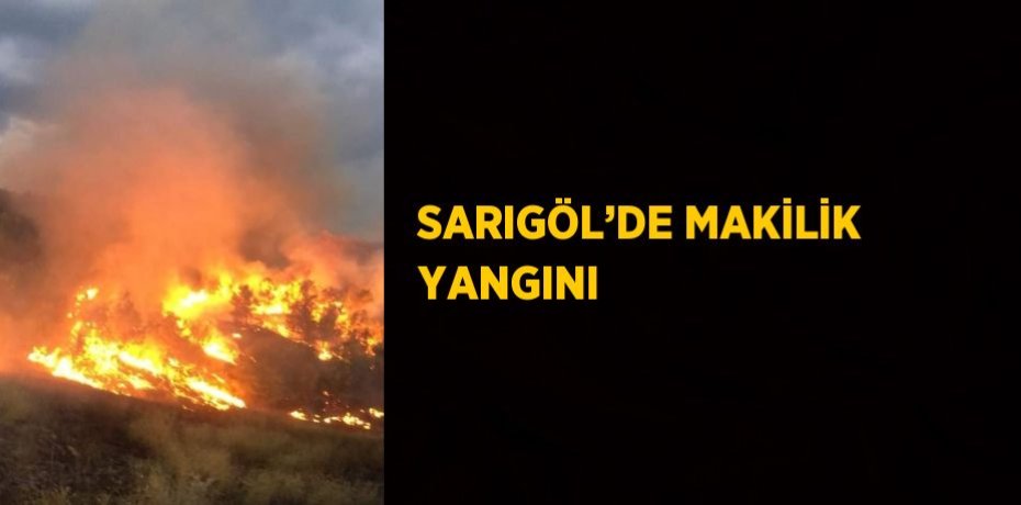 SARIGÖL’DE MAKİLİK YANGINI