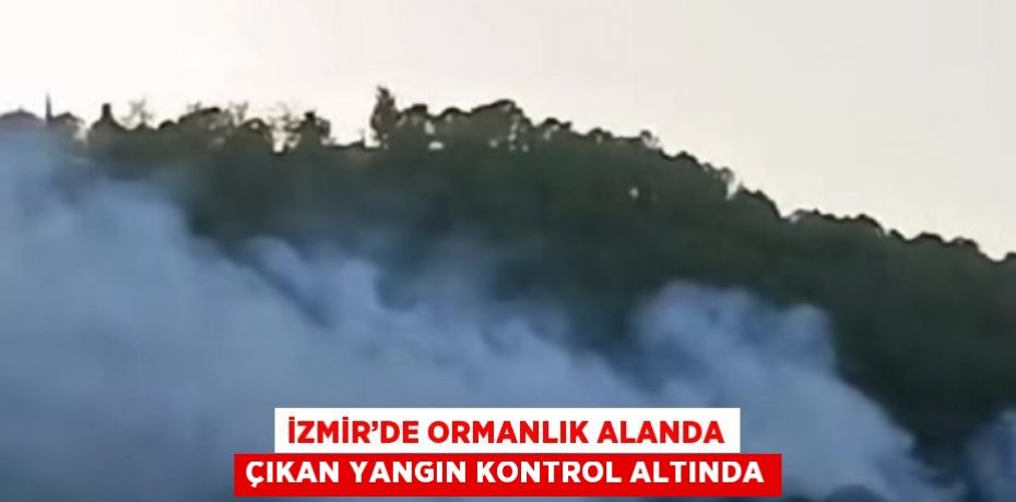 İZMİR’DE ORMANLIK ALANDA ÇIKAN YANGIN KONTROL ALTINDA