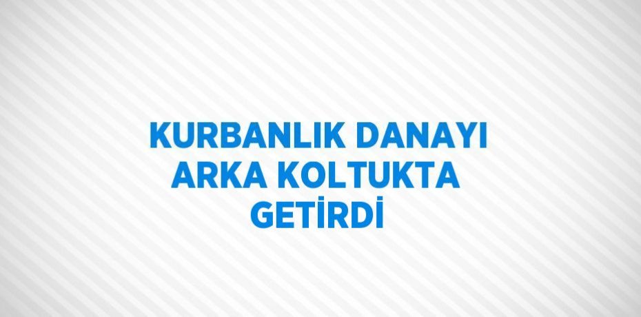 KURBANLIK DANAYI ARKA KOLTUKTA GETİRDİ