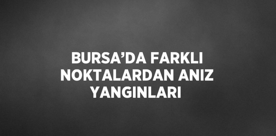 BURSA’DA FARKLI NOKTALARDAN ANIZ YANGINLARI