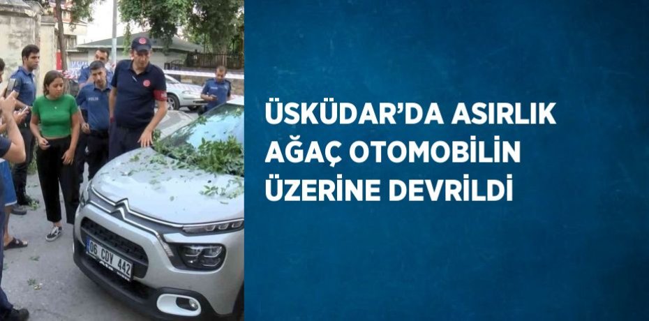 ÜSKÜDAR’DA ASIRLIK AĞAÇ OTOMOBİLİN ÜZERİNE DEVRİLDİ