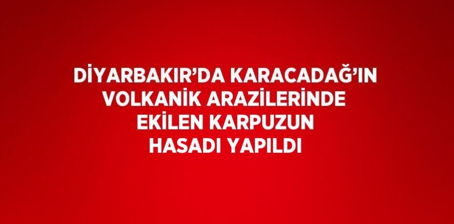 DİYARBAKIR’DA KARACADAĞ’IN VOLKANİK ARAZİLERİNDE EKİLEN KARPUZUN HASADI YAPILDI