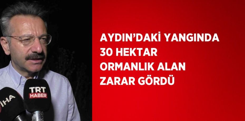 AYDIN’DAKİ YANGINDA 30 HEKTAR ORMANLIK ALAN ZARAR GÖRDÜ