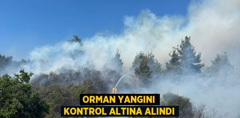 Orman yangını kontrol altına alındı