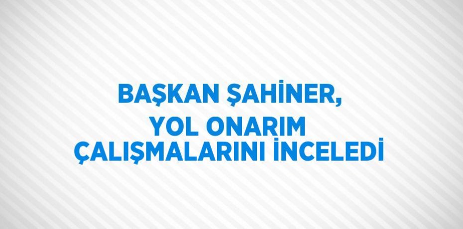 BAŞKAN ŞAHİNER, YOL ONARIM ÇALIŞMALARINI İNCELEDİ