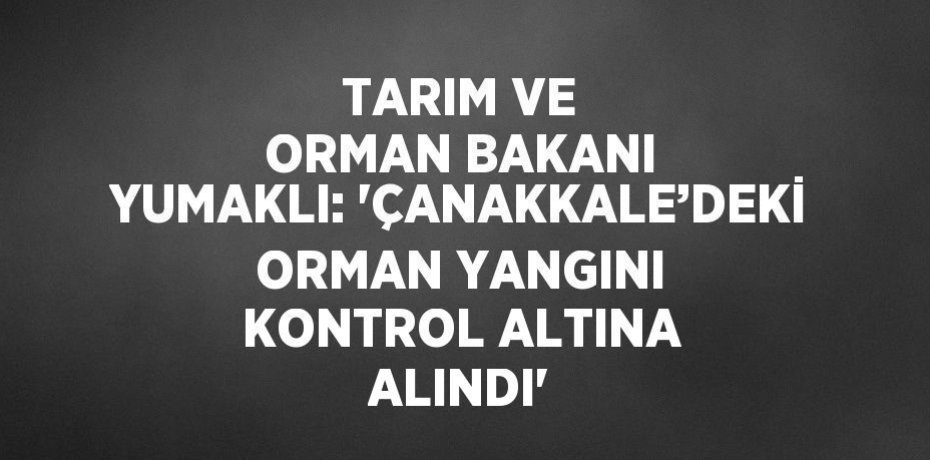 TARIM VE ORMAN BAKANI YUMAKLI: 'ÇANAKKALE’DEKİ ORMAN YANGINI KONTROL ALTINA ALINDI'