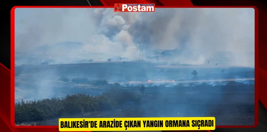 Balıkesir'de arazide çıkan yangın ormana sıçradı  