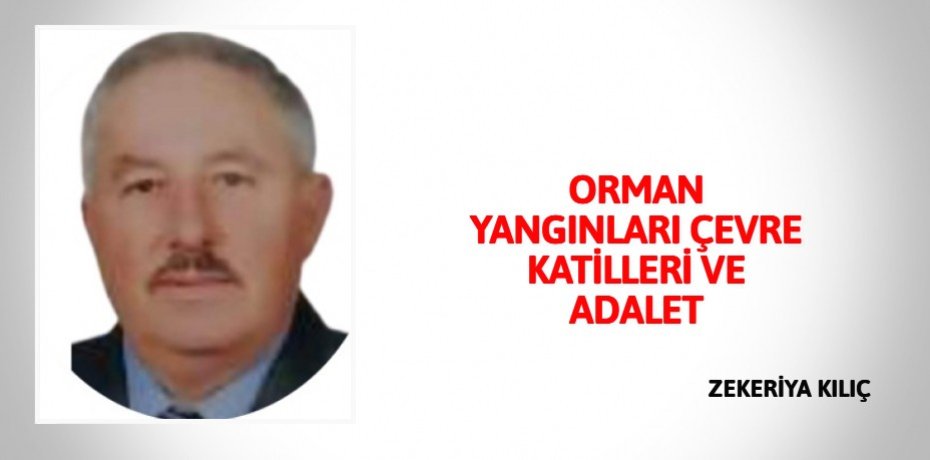 ORMAN YANGINLARI ÇEVRE KATİLLERİ VE ADALET