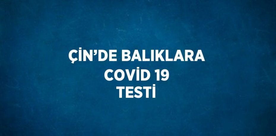 ÇİN’DE BALIKLARA COVİD 19 TESTİ