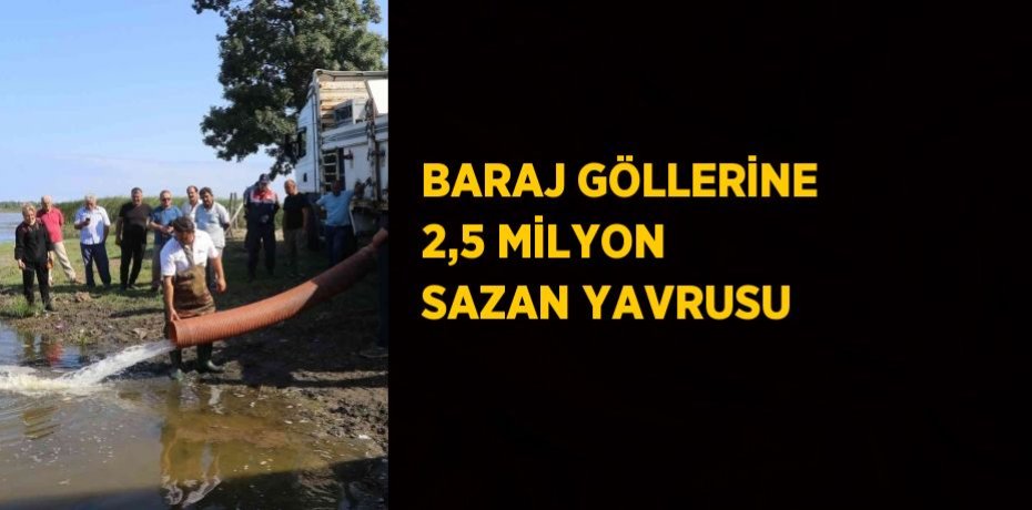 BARAJ GÖLLERİNE 2,5 MİLYON SAZAN YAVRUSU