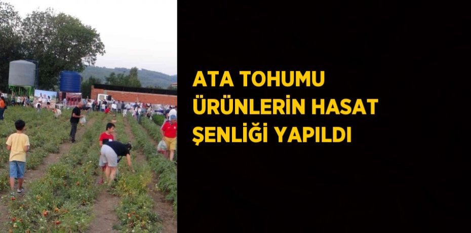 ATA TOHUMU ÜRÜNLERİN HASAT ŞENLİĞİ YAPILDI