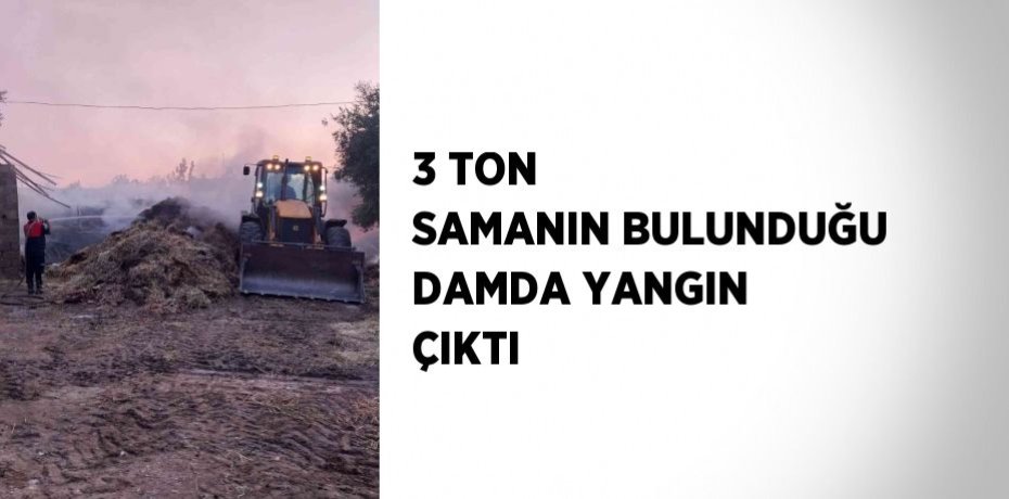 3 TON SAMANIN BULUNDUĞU DAMDA YANGIN ÇIKTI