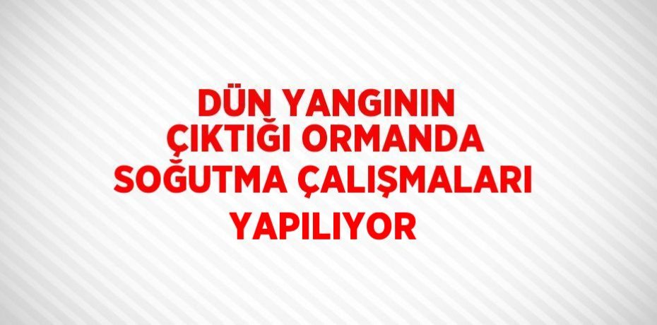 DÜN YANGININ ÇIKTIĞI ORMANDA SOĞUTMA ÇALIŞMALARI YAPILIYOR