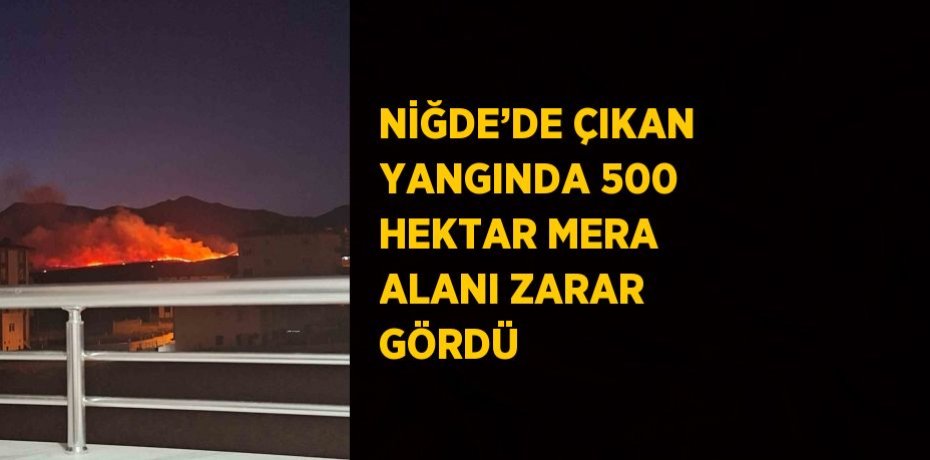 NİĞDE’DE ÇIKAN YANGINDA 500 HEKTAR MERA ALANI ZARAR GÖRDÜ